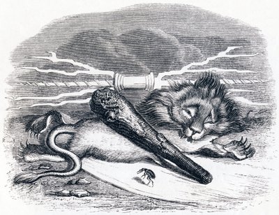 De man en de vlo - Fabels van La Fontaine door Grandville