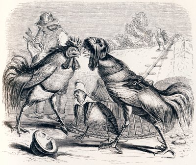 De patrijs en de twee hanen - Fabels van La Fontaine door Grandville