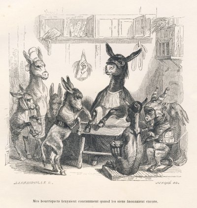 Ezels op school. Vignetten geïllustreerd door JJ Granville. Gravure gesigneerd Caque in het deel "Gids-ezel voor dieren die eer willen bereiken" geschreven door Honoré De Balzac in "Scènes uit het privé- en openbare leven van dieren". Parijs door Grandville