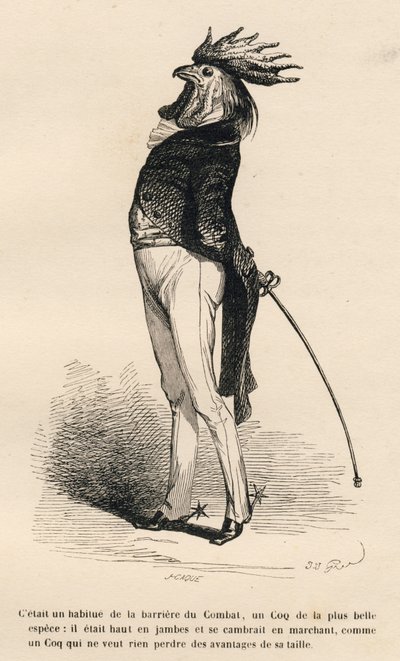 Haan gewend aan de vechtbarrière die trots marcheert. Geïllustreerde vignetten door JJ Granville. Gravure gesigneerd door Caque in het deel "Verhaal van een haas" geschreven door PJ Stahl in "Scènes uit het privé- en openbare leven van dieren". Parijs, J.  door Grandville
