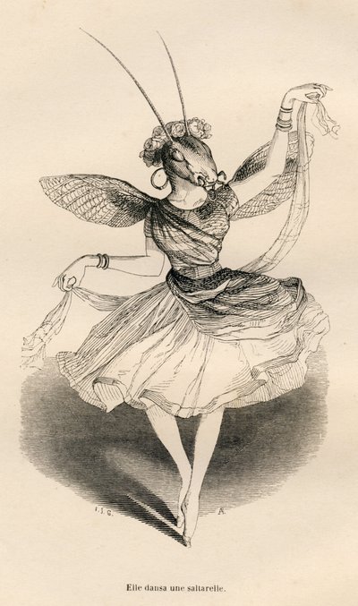 Zij danste een saltarelle. Geïllustreerde vignetten door JJ Granville. Gravure gesigneerd door Andrew, Best en Leloir in het deel getiteld "De avonturen van een vlinder" geschreven door PJ Stahl in "Scènes uit het privé- en openbare leven van dieren". Pari door Grandville