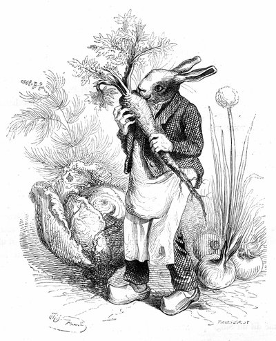 Grandville gravure, uit het boek “Privé en openbaar leven van dieren (Les animaux peints par eux-mêmes)”, Hetzel editie 1867. Konijnentuinman in klompen knabbelt aan een wortel in zijn moestuin waar groenten (uien en kool) groeien. door Grandville (1803 47)
