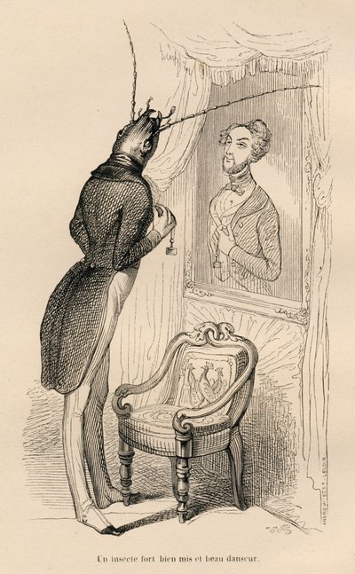 Insect kijkend naar zijn menselijke reflectie in de spiegel. Geïllustreerde vignetten door JJ Granville. Gravure gesigneerd Andrew, Best en Leloir in het deel "De avonturen van een vlinder" geschreven door PJ Stahl in "Scènes uit het privé- en openbare lev door Grandville
