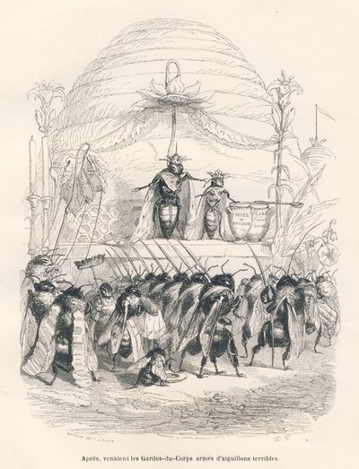 De koningin van de bijen en haar leger. Vignetten geïllustreerd door JJ Granville. Gravure gesigneerd Andrew, Best en Leloir in het deel getiteld "Reis van een mus uit Parijs" geschreven door George Sand in "Scènes uit het privé- en openbare leven van dier door Grandville