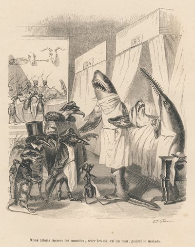 De haaienartsen leggen hun chirurgische ingreep uit. Vignetten geïllustreerd door JJ Granville. Gravure gesigneerd Godard in het deel "De dierenartsen" geschreven door Pierre Bernard in "Scènes uit het privé- en openbare leven van dieren". Parijs, J. Hetze door Grandville
