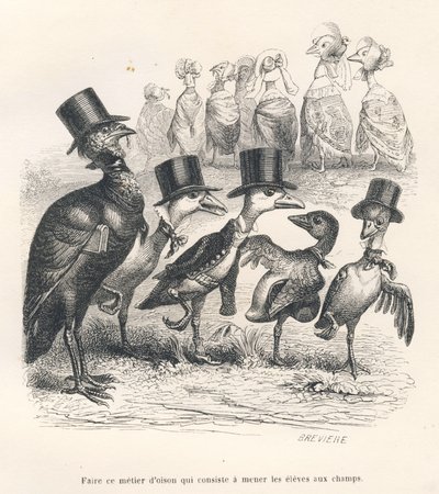 Ganzen die hun kinderen naar de velden brengen. De ganzen verlaten hun kind. Geïllustreerde vignetten door JJ Granville. Gravure gesigneerd door Breviere in het deel getiteld "Gids-ezel voor dieren die eer willen bereiken" geschreven door... door Grandville