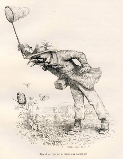 Vogel die vlinders jaagt. Vignetten geïllustreerd door JJ Granville. Gravure gesigneerd Andrew, Best en Leloir in het deel "Een vos gevangen in de val" geschreven door Charles Nodier in "Scènes uit het privé- en openbare leven van dieren". Parijs, J. Hetze door Grandville