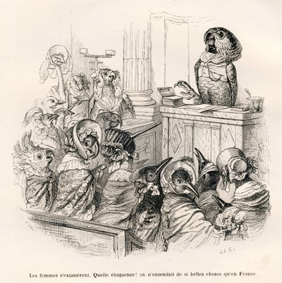 Welsprekende papegaai. Vignetten geïllustreerd door JJ Granville. Gravure gesigneerd Porret in het deel getiteld "Gids-ezel voor dieren die eer willen bereiken" geschreven door Honoré De Balzac in "Scènes uit het privé- en openbare leven van dieren" door Grandville