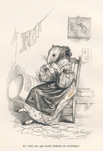 Muis die een sok repareert. Vignetten geïllustreerd door JJ Granville. Gravure gesigneerd Andrew, Best en Leloir in het deel "De filosoof rat" geschreven door Edouard Lemoine in "Scènes uit het privé- en openbare leven van dieren". Parijs, J. Hetzel en Pau door Grandville