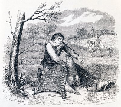 De vogelvanger, de havik en de leeuwerik - Fabels van La Fontaine door Grandville