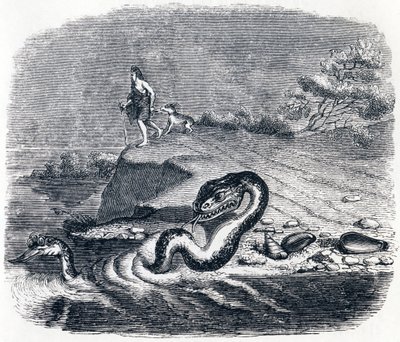 De kop en de staart van de slang (La tete et la queue du serpent) - Fabels van La Fontaine door Grandville