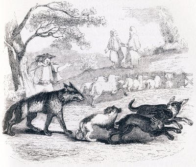 De bassa en de koopman - Fabels van La Fontaine door Grandville