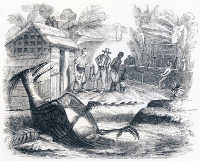 De vogel gewond door een pijl - Fabels van La Fontaine door Grandville