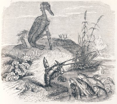 De vissen en de aalscholver door Grandville