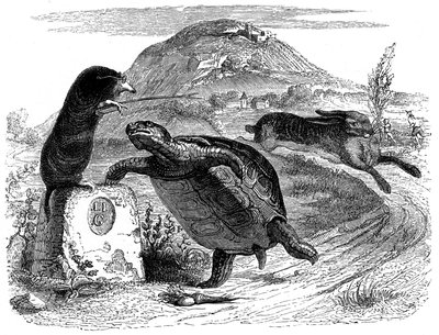 De haas en de schildpad: La Fontaine fabel geïllustreerd door Grandville door Grandville (1803 47)