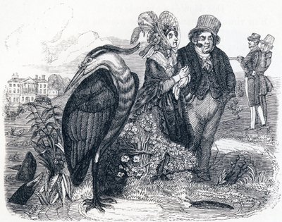 De reiger - Fabels van La Fontaine door Grandville