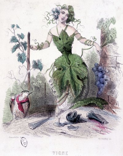Vrouw, allegorie van de wijnstok - tekening door Grandville door Grandville