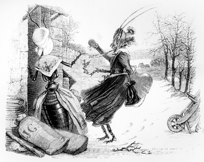 De cicade en de mier, illustratie voor 