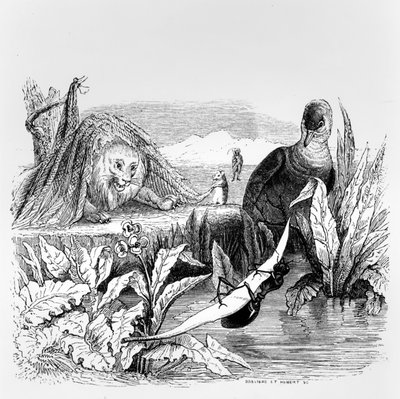 De duif en de mier en de leeuw en de rat, illustratie voor 