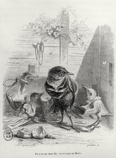 Illustratie voor LHistoire dun merle blanc, gegraveerd door Gautier door Grandville 1803 47 after Grandville 1803 47 after