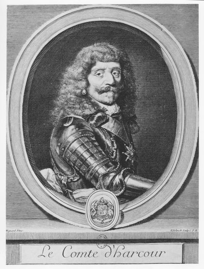 Henri de Lorraine, Graaf d
