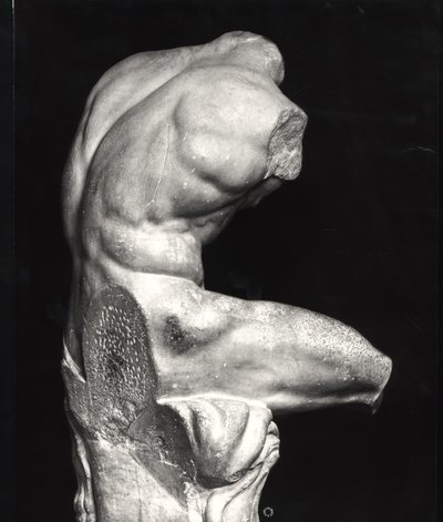 Belvedere torso door Greco Roman Greco Roman