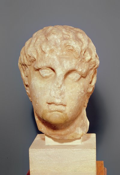 Hoofd van een van de Diadochi of Hoofd van Alexander III de Grote door Greek