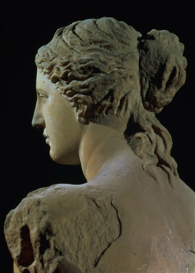 Venus van Milo, detail van de achterkant van het hoofd door Greek