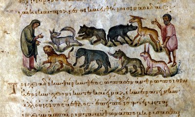 Spel: de dieren die je kunt jagen - in 