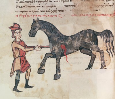 Opereren van een paard door Greek School