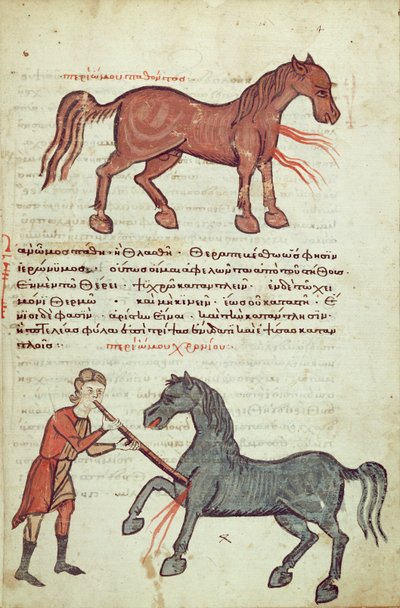 Opereren van een paard door Greek School