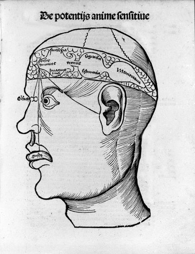 Hersenonderzoek: studie voor de lokalisatie van verschillende hersenfuncties. Gravure uit 