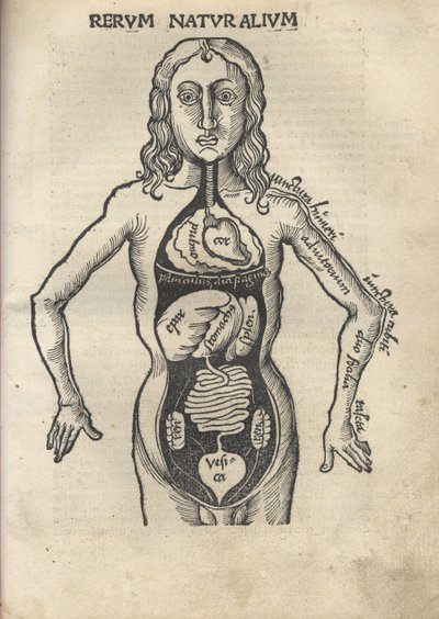Margarita Philosophica. Anatomie door Gregor Reisch