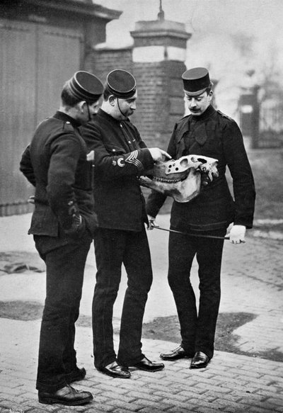 Een veterinaire demonstratie, 1st Life Guards, 1896 door Gregory and Co