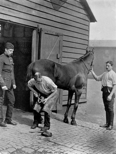 De hoefsmid-majoor van de Koninklijke Bereden Garde, 1896 door Gregory and Co