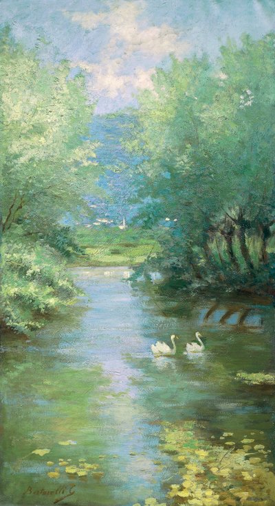 Landschap met zwanen door Guido Bertarelli