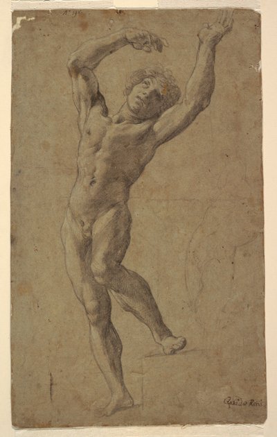 Studie voor St. Sebastiaan, Museo Pomarici Santomasi, Puglia, Italië door Guido Reni