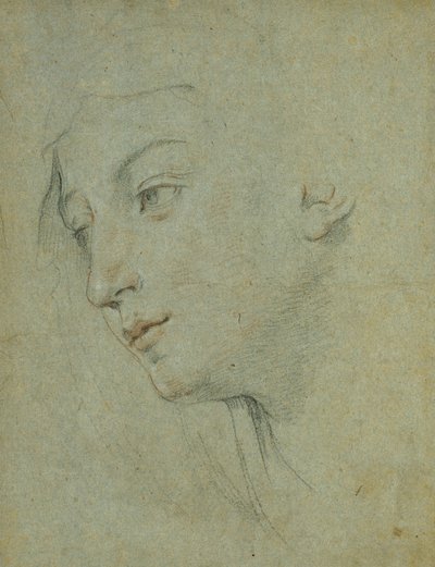 Het hoofd van een vrouw die naar links kijkt door Guido Reni