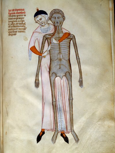 Chirurgie: dissectie van de thorax door Guido da Vigevano da Pavia