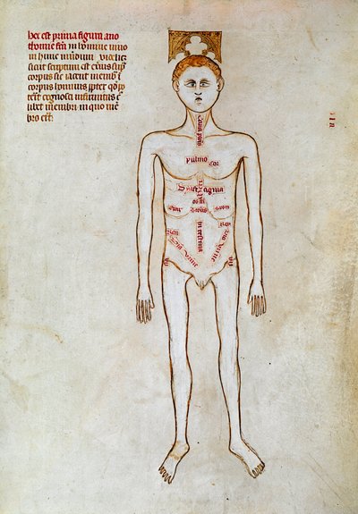 Chirurgie: voorstelling van het menselijk lichaam. Miniatuur in 