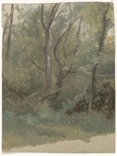 Bosgezicht door Guillaume Anne van der Brugghen