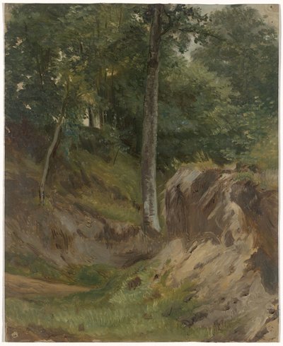 Droog beekje in het bos door Guillaume Anne van der Brugghen