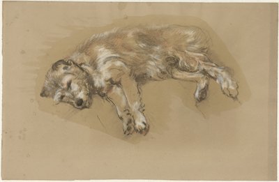 Liggende hond door Guillaume Anne van der Brugghen