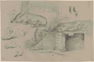 Schetsblad met studies van varkens in het wilde zwijnspark in Artis door Guillaume Anne van der Brugghen