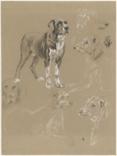 Studies van een hond door Guillaume Anne van der Brugghen
