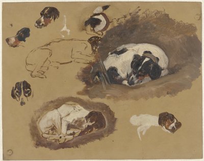 Studies van een jachthond door Guillaume Anne van der Brugghen