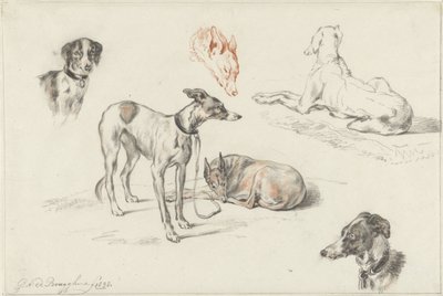 Studies van honden door Guillaume Anne van der Brugghen