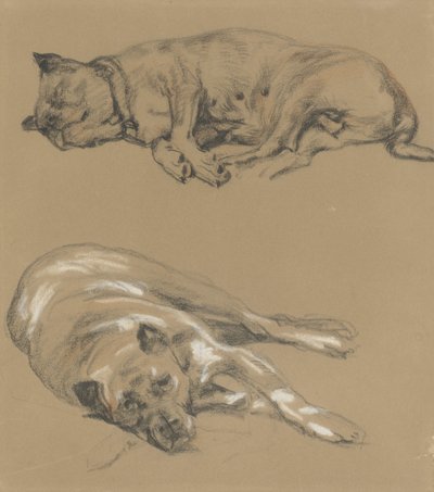 Twee studies van een liggende hond door Guillaume Anne van der Brugghen