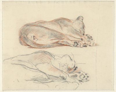 Twee studies van een liggende tijger door Guillaume Anne van der Brugghen