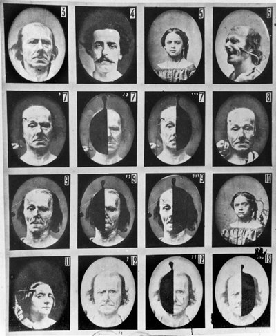Fysiognomische studies, uit 